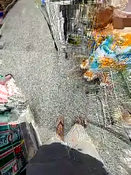 jeff pepoer online show from 14, 2, 2026