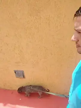 jeff pepoer online show from 7, 1, 2026