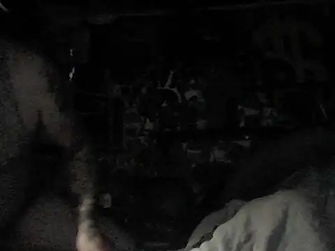 Twoslipperywhenwett online show from 6, 1, 2026