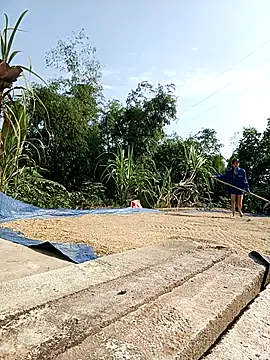 Snapshot of Ocnguyety chatting on 29, 10, 2025 Ocnguyety online show from 29, 10, 2025