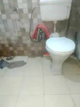 dolly 009  online show from 13, 11, 2025