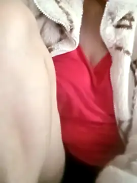 Npchi online show from 20, 4, 2026