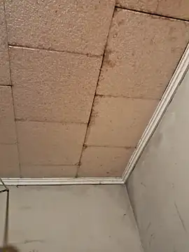 Tudiablita21 online show from 10, 3, 2026