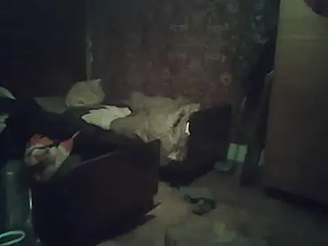 A1B3- online show from 2, 2, 2026