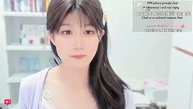 Rabbitlittlefool online show from 27, 2, 2026