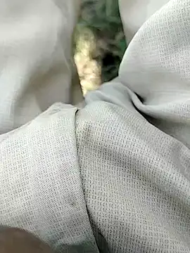 Snapshot of t2pnb chatting on 2, 12, 2025 t2pnb online show from 2, 12, 2025