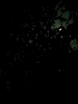 Girls pussy rider online show from 28, 2, 2026