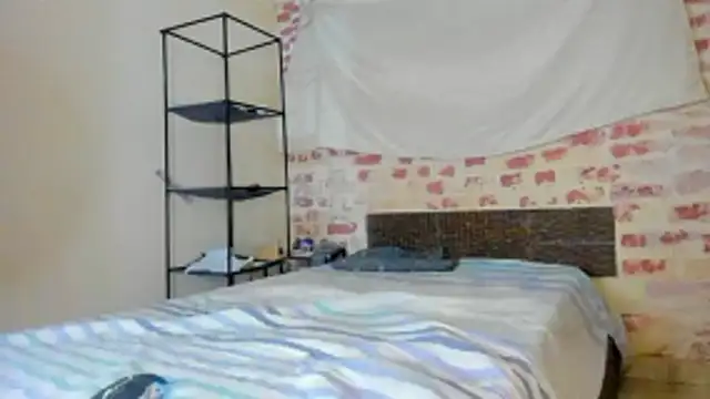 DandyWolf0 online show from 1, 12, 2025