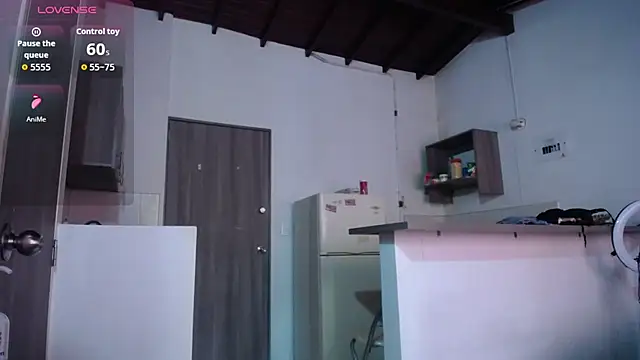 pamelalambert online show from 5, 12, 2025