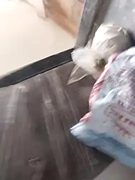 Wet BunnyFun online show from 25, 2, 2026