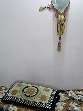 sneha bebo online show from 4, 4, 2026