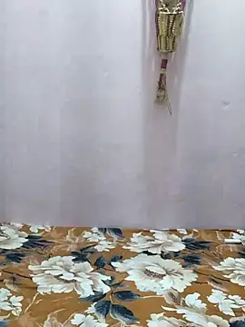 sneha bebo online show from 28, 2, 2026