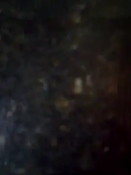 mayevviaqui online show from 14, 3, 2026