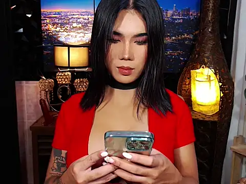 TRANSPORNIDOL online show from 10, 1, 2026