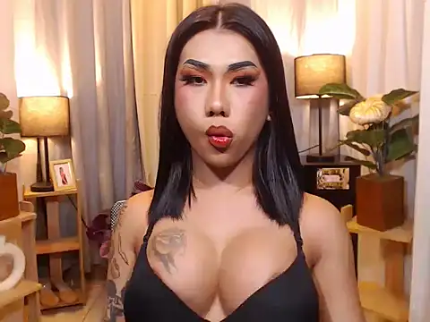 TRANSPORNIDOL online show from 8, 2, 2026