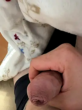 elcalabacin online show from 25, 11, 2025