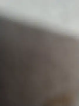 12dery online show from 15, 2, 2026