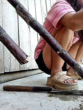 daisy will online show from 16, 2, 2026