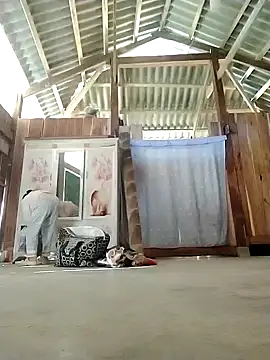 daisy will online show from 28, 11, 2025