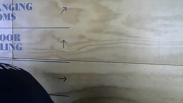 Snapshot of mason_fit chatting on 17, 11, 2025 mason fit online show from 17, 11, 2025