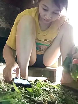 spsale online show from 12, 4, 2026