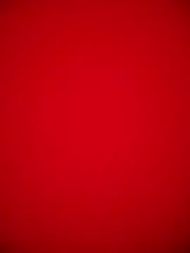 brandi bae1 online show from 31, 3, 2026