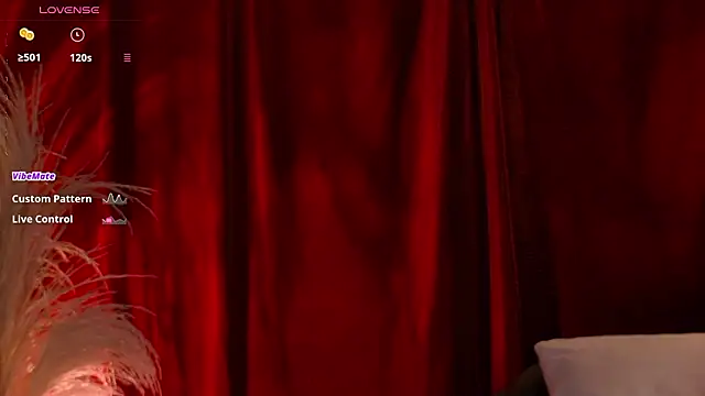 VicenteFerrer online show from 14, 2, 2026