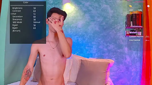 VicenteFerrer online show from 8, 11, 2025