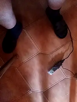 Bols777 online show from 15, 3, 2026