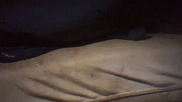 Snapshot of pietje1991 chatting on 15, 5, 2026 pietje1991 online show from 15, 5, 2026