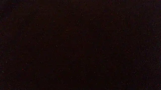 pietje1991 online show from 17, 4, 2026