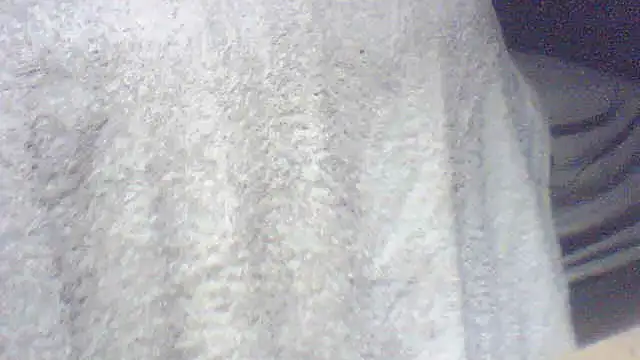 Snapshot of pietje1991 chatting on 4, 6, 2026 pietje1991 online show from 4, 6, 2026