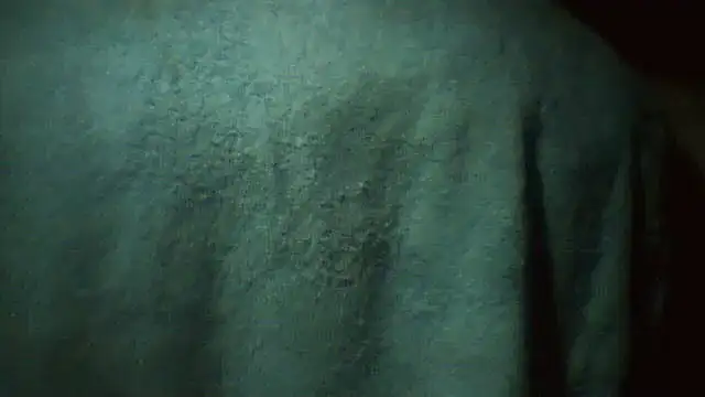 pietje1991 online show from 2, 3, 2026