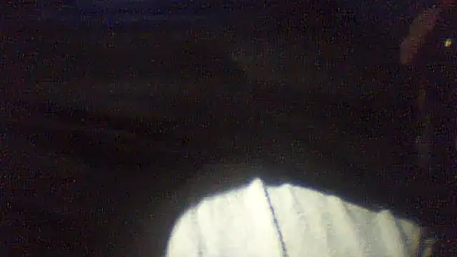 pietje1991 online show from 10, 2, 2026