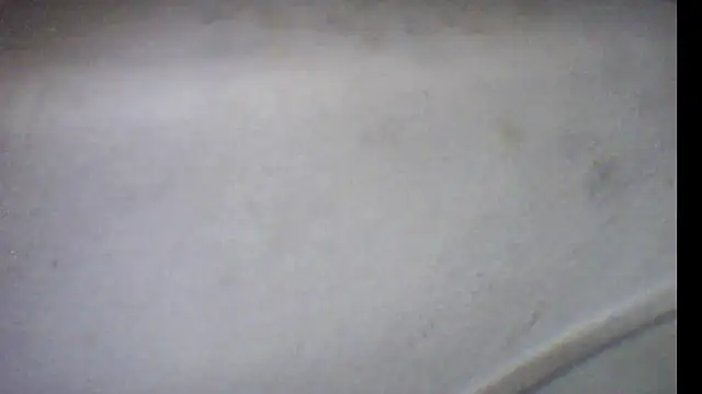Snapshot of pietje1991 chatting on 12, 5, 2026 pietje1991 online show from 12, 5, 2026