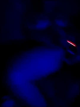 Paoloynoelia online show from 20, 9, 2025