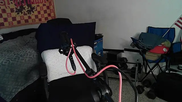 DevilPup75  online show from 26, 10, 2025