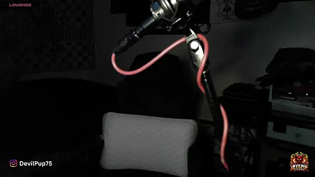 DevilPup75  online show from 18, 1, 2026