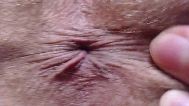 dreamon007007007 online show from 11, 4, 2026