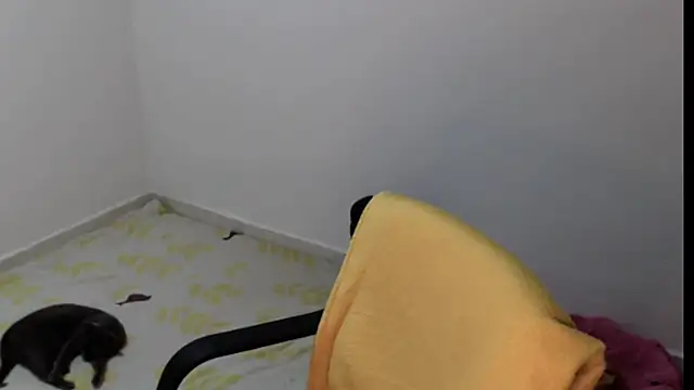 meganmiauu online show from 11, 5, 2026