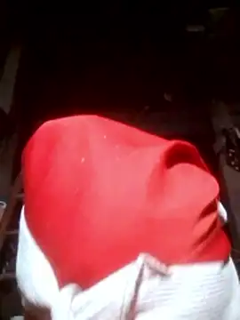 VangLe73 online show from 10, 11, 2025