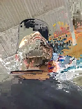 Lb228w online show from 16, 10, 2025