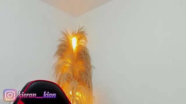 Snapshot of Kieran_kian chatting on 19, 4, 2026 Kieran kian online show from 19, 4, 2026