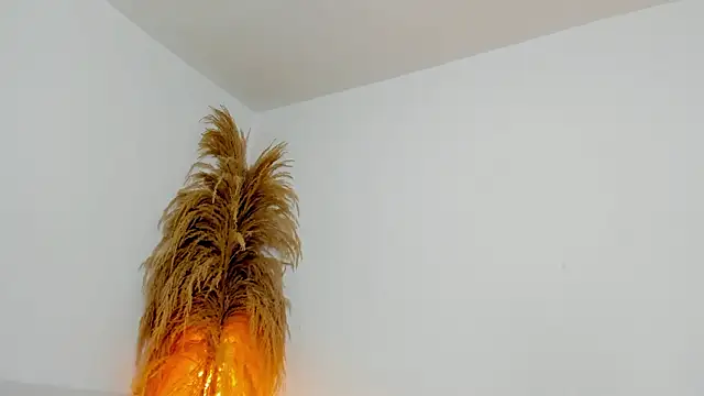 Kieran kian online show from 5, 3, 2026