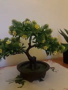 Michel huge online show from 18, 12, 2025