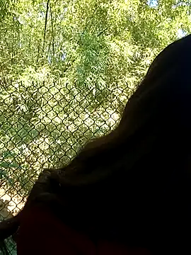 Snapshot of dimny_sex chatting on 28, 11, 2025 dimny sex online show from 28, 11, 2025