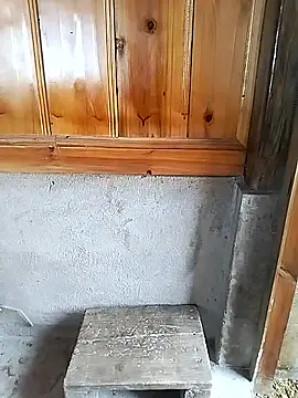 Tiyir597 online show from 10, 11, 2025