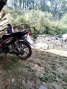 Tiyir597 online show from 5, 10, 2025