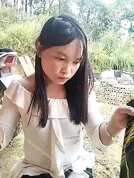 Tiyir597 online show from 12, 10, 2025