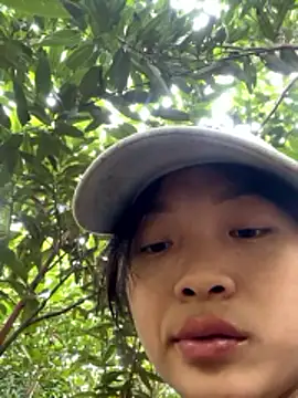 Phayphay77 online show from 17, 11, 2025